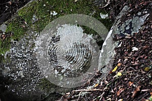 Petroglyphs of La Zarza photo