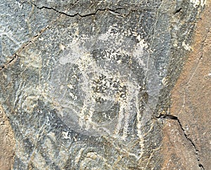 Petroglyphs of the late bronze age.