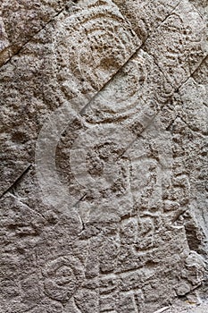 Petroglyphs in National Park El Imposible, El Salvad photo