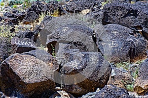 Petroglyphs in Piedras Marcadas Canyon, Petroglyph National Monument, Albuquerque, NM.