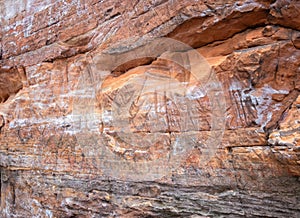 Petroglyphs at Roche-a-cri State Park