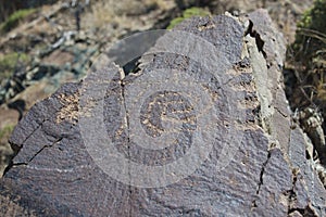 Petroglyphs on Rock
