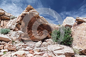 Petroglyphs on the rock in Arches National Park