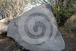 Petroglyphs on the rocks