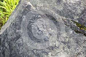Petroglyphs on the rocks