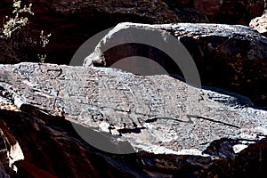 Petroglyphs with shapes serpentine figures and crosses eroded rock formations in Talampaya Canyon National Park, archaeological photo