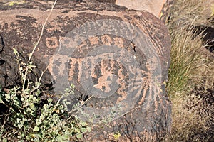 Petroglyphs on the stone