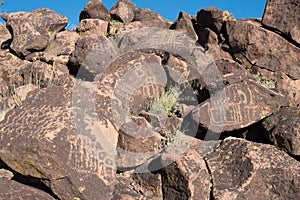 Petroglyphs on the stone