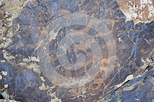 Petroglyphs on the territory of the Republic of Kazakhstan.