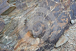 Petroglyphs on the territory of the Republic of Kazakhstan.