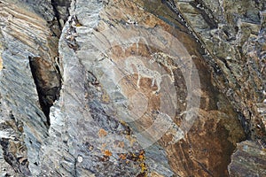 Petroglyphs on the territory of the Republic of Kazakhstan.