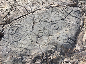 Petroglyphs at Waikoloa Petroglyph Reserve in Hawaii.