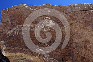 Petroglyphs of Yerbas Buenas, Atacama Desert, Chile photo