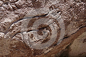 Petroglyphs of Yerbas Buenas, Atacama Desert, Chile photo