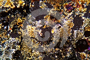 Petrographic thin section of the meteorite NWA 6870 under the microscope