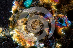 Petrographic thin section of the meteorite NWA 6870 under the microscope