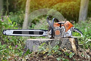 petrol-powered chain saw left by arborist on top of tree stump