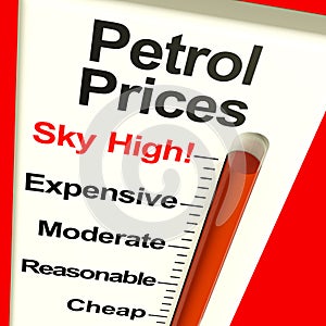 Petrol Prices Sky High Monitor