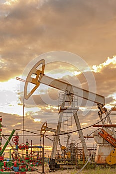 Petroleum concept. Oil pump rig. Oil and gas production. Oilfield site. Pump Jack are running. Drilling derricks for