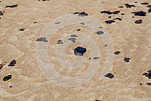 Petroleum stains on sand