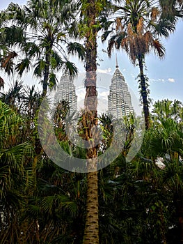 Petronas Twin Towers through palm trees