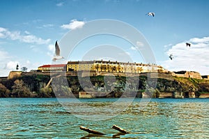 Petrovaradin Fortress photo