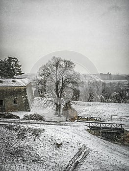 Petrovaradin Fortress in winter