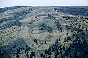 Petrovy-kameny rocks on the top of mountain in Jeseniky