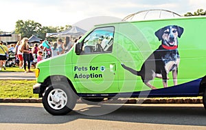 Pets For Adoption