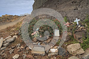 Pets Cemetery in Tenerife, Callo salvaje photo