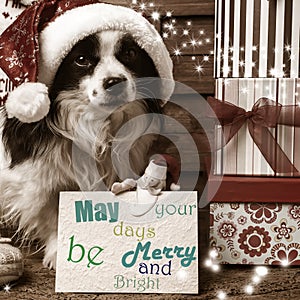 Pets Christmas wishes cards