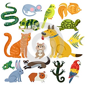 Pets Colorful Icons Set