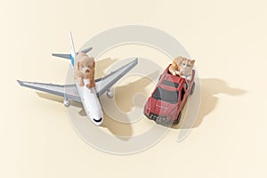 Pets dog and cat shipping concept by car and airplane