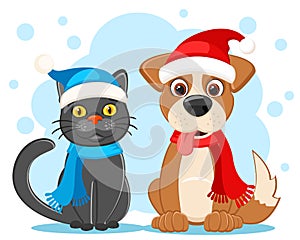 Pets dog and cat are sitting in Christmas hats and scarves. Merry christmas