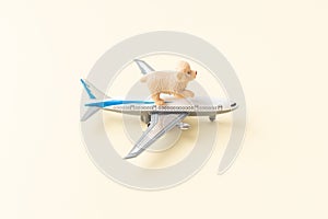 Pets dogs shipping concept by airplane