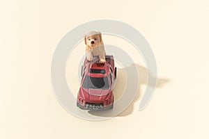 Pets dogs shipping concept by car