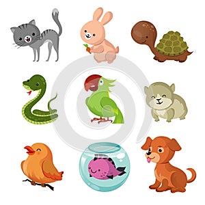 Pets domestic animals vector flat icons