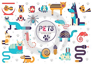 Pets falt illustration concept. Wildlife and home animals vector design icons