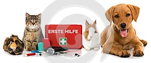 Pets first aid