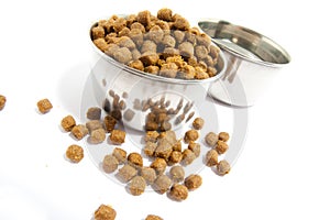 Pets forage over white background photo