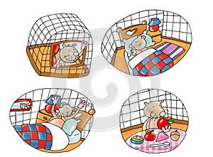 Pets hamster rodent in a cage sleeps and eats