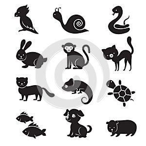 Pets and home animals vector icons