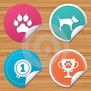 Pets icons. Cat paw with clutches sign.