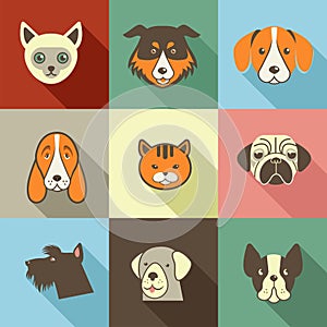 Pets icons - cats and dogs elements