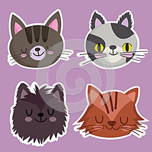 pets icons set cats feline mascot animal, faces animals cartoon