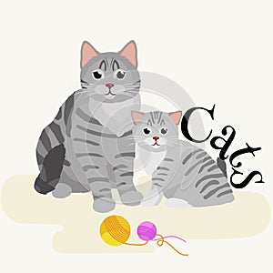 Pets mother cat and kitten sitting white background, domestic animals