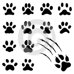 Pets paw footprint. Cat paws prints, kitten foots or dog foot print. Pet rescue logo isolated vector symbol