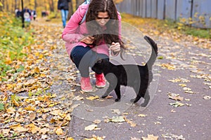 Pets and people concept - young woman is stroking the black cat in autumn park