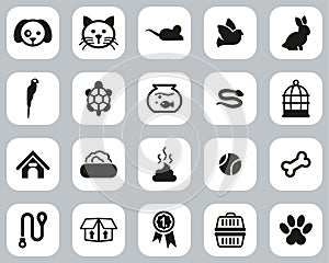 Pets & Pet Accessories Icons Black & White Flat Design Set Big photo