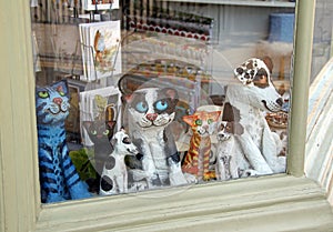 Pets at shop window